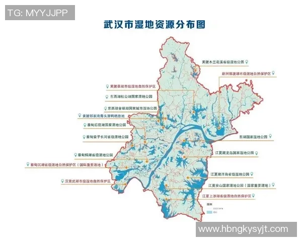武汉足球队节奏表现深度分析及其对比赛结果的影响探讨 武汉足球队节奏表现深度分析及其对比赛结果的影响探讨